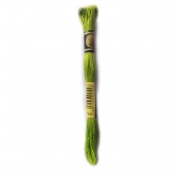 Hand embroidery skein floss Chartreuse bright color 704